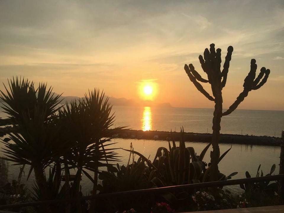 Summer Dream La Casa Sul Mare 特拉佩托 外观 照片