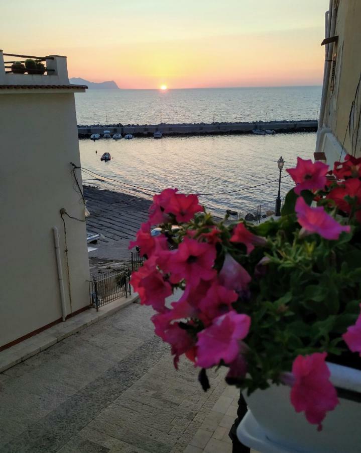 Summer Dream La Casa Sul Mare 特拉佩托 外观 照片